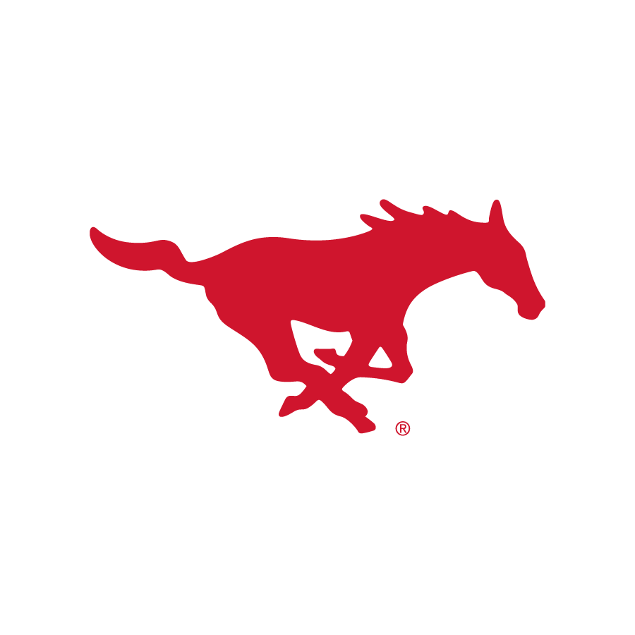 Southern Methodist University
