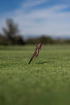 FSU Spear Divot Tool